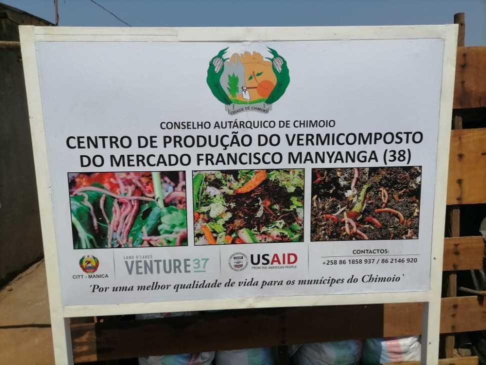 imagem01